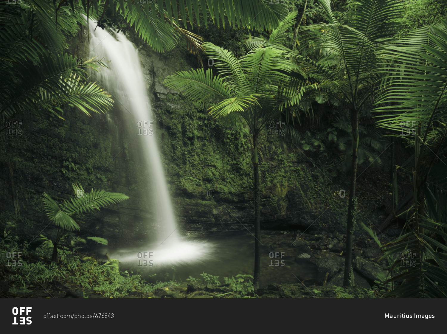 Waterfall in Yunque National Park, the green jungle of the Caribbean Island Puerto Rico