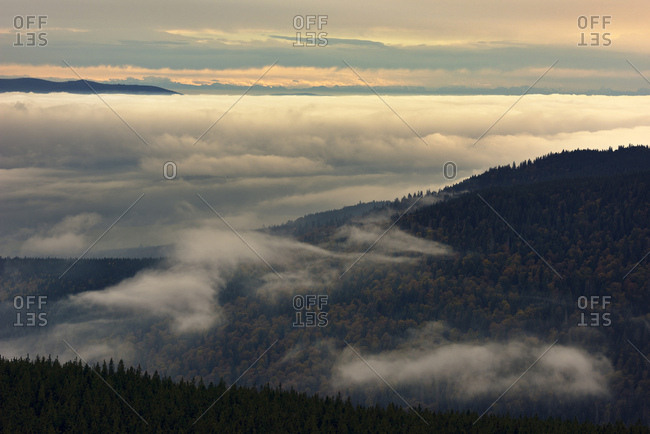 View from the Boubin over the Kubany jungle against the Alps in the late evening light, Czech Republic
