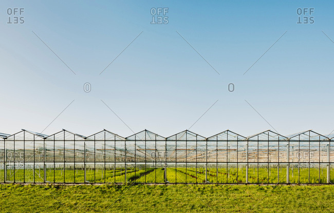 Greenhouse in Westland,  area with the highest concentration of greenhouses in Netherlands