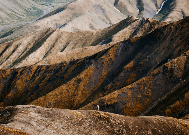 Hiking over ridges in Denali National Park Alaska