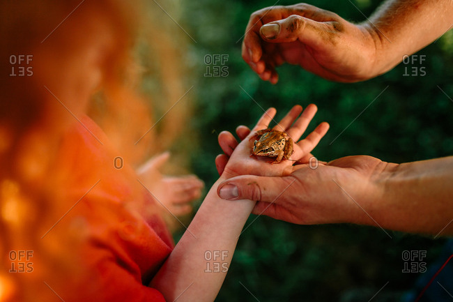 Father helping son hold frog