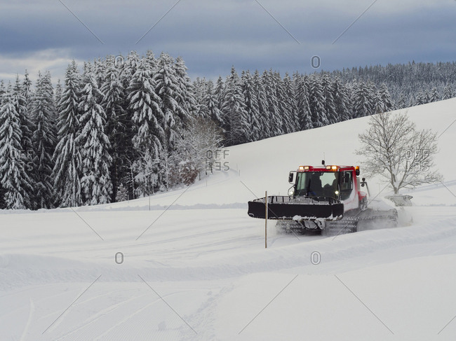 Track-setter preparing ski track Thurnerspur in the Black Forest near St. Margen, Hochschwarzwald, Baden-Wurttemberg, Germany