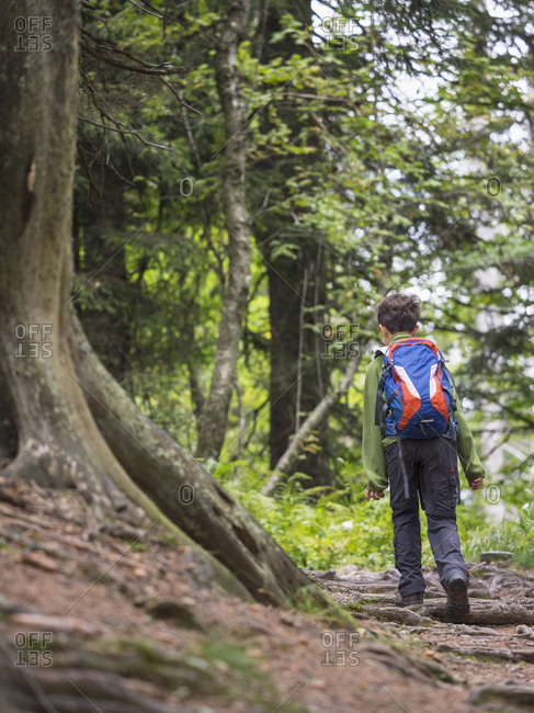 singletrail baden württemberg