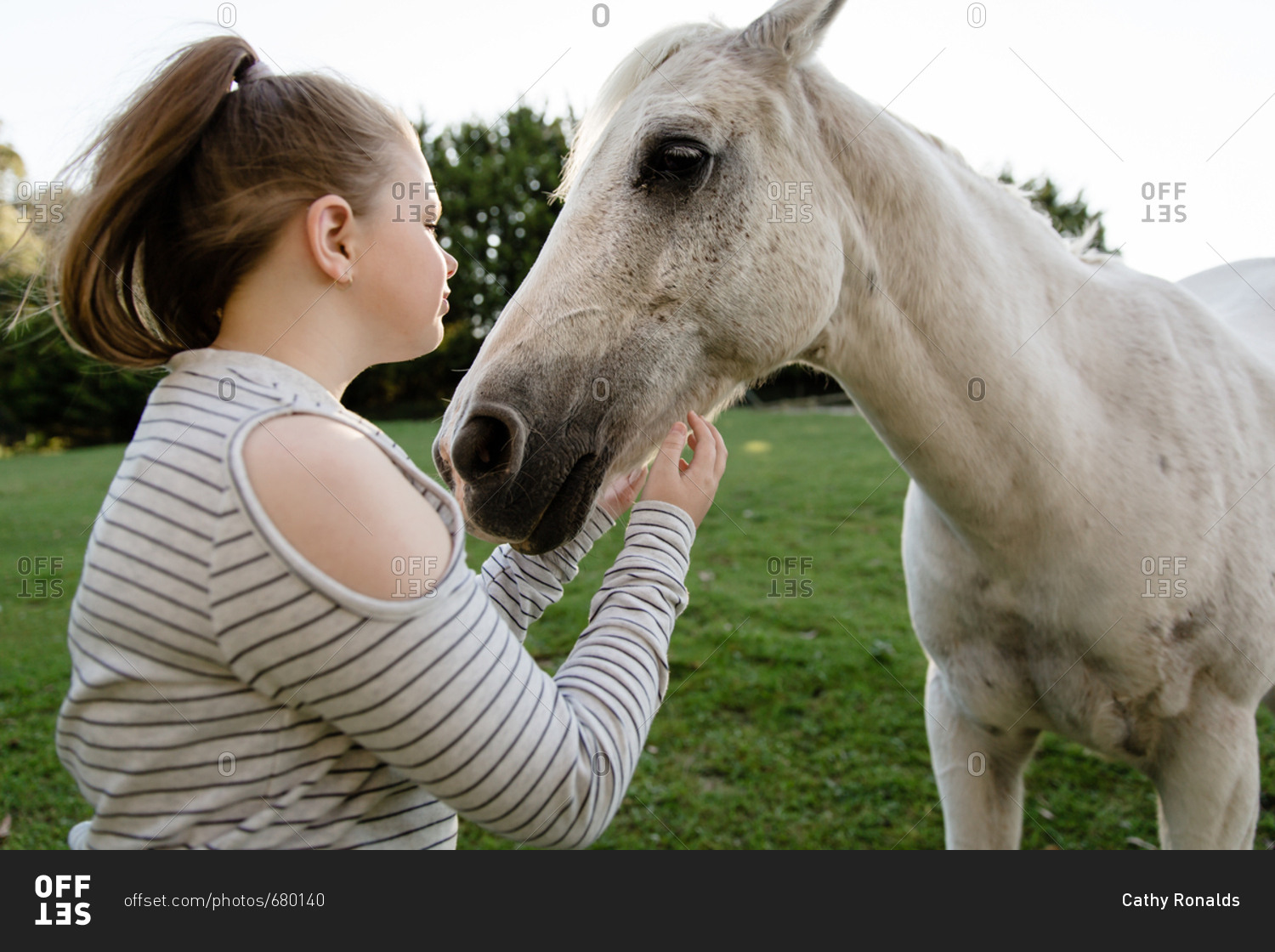 Girl connecting with horse