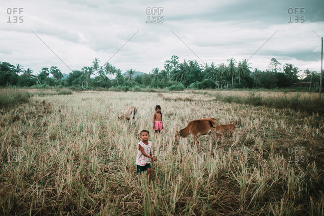 Bangkok, Thailand - March 16, 2018: Asian children pasturing cow in field