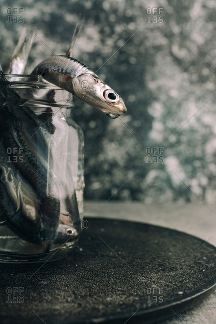 fresh anchovies, in the jar with water, detail. Grunge background.