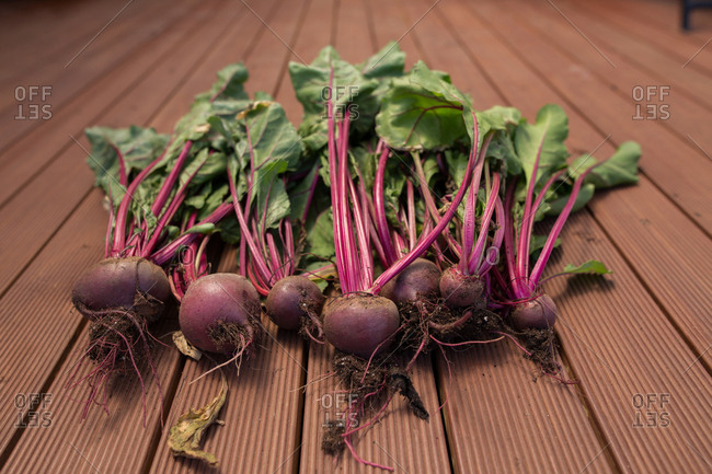 Bunch of freshly picked beets