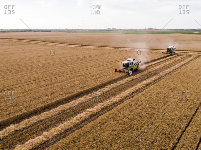 Serbia- Vojvodina. Combine harvester on a field of wheat- aerial view
