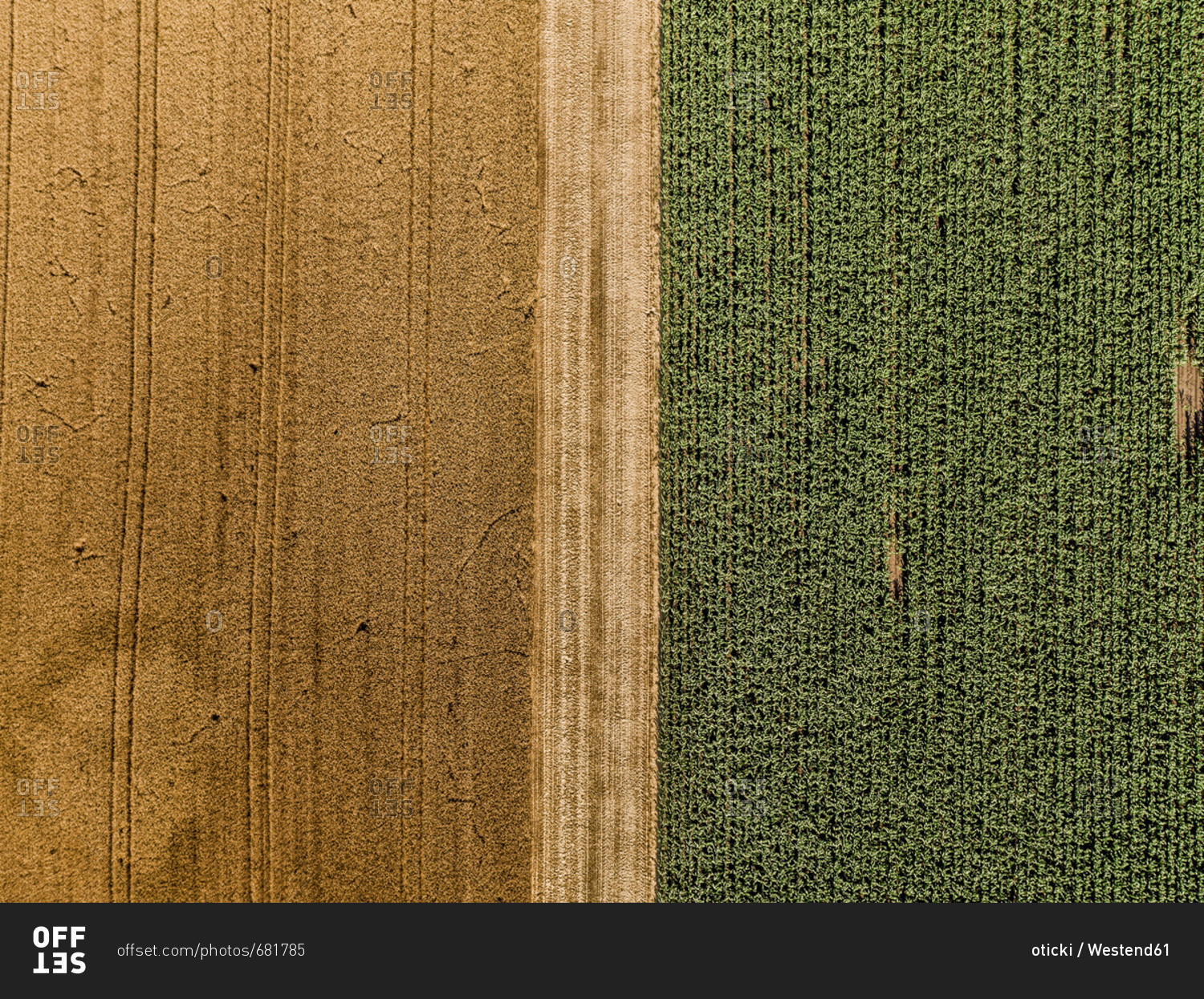 Serbia- Vojvodina- agricultural fields- aerial view at summer season