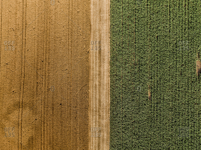 Serbia- Vojvodina- agricultural fields- aerial view at summer season