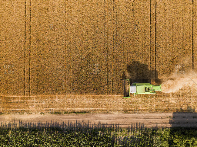 Serbia- Vojvodina. Combine harvester on a field of wheat- aerial view