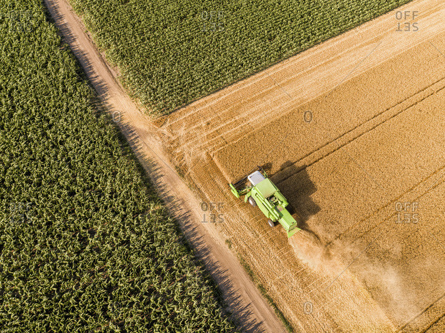 Serbia- Vojvodina. Combine harvester on a field of wheat- aerial view