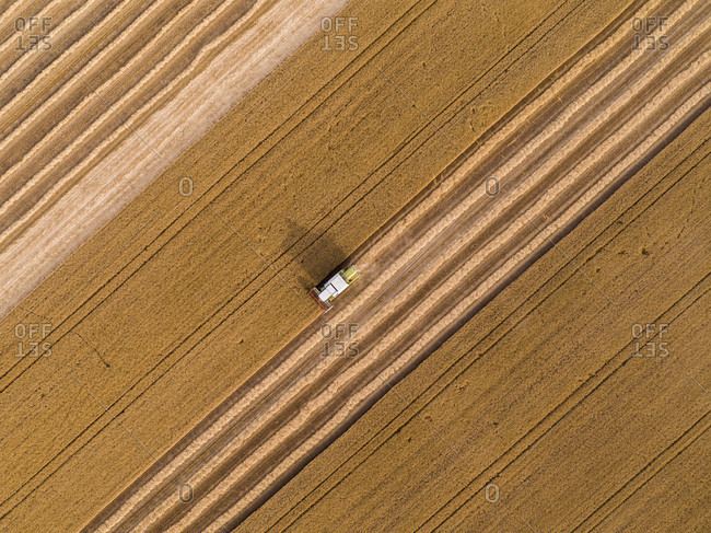 Serbia- Vojvodina. Combine harvester on a field of wheat- aerial view