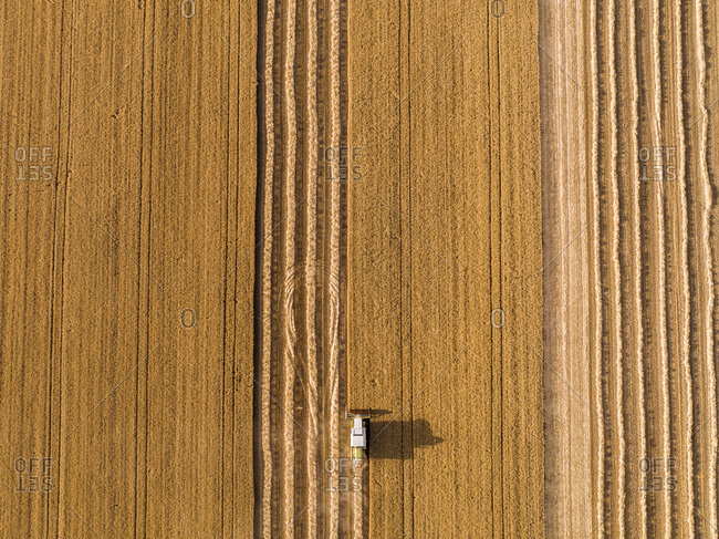 Serbia- Vojvodina. Combine harvester on a field of wheat- aerial view