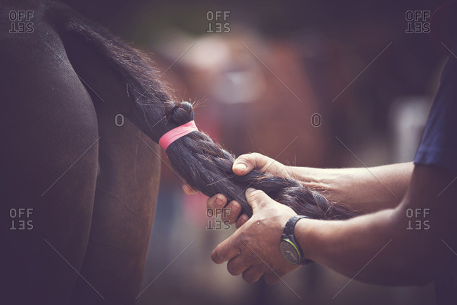 Cropped hands of man tying horse tail at barn