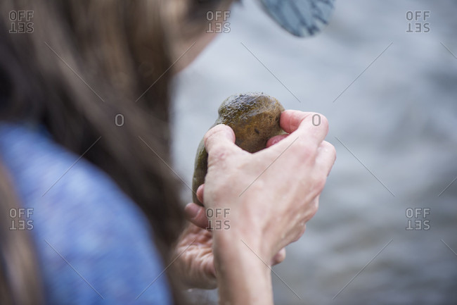 Close up of female angler reading rock for insects on edge of Colorado River, Silverthorne, Colorado, USA