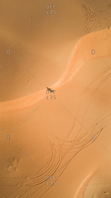 Aerial view of a man walking alone in the dunes of Sharjah desert, UAE