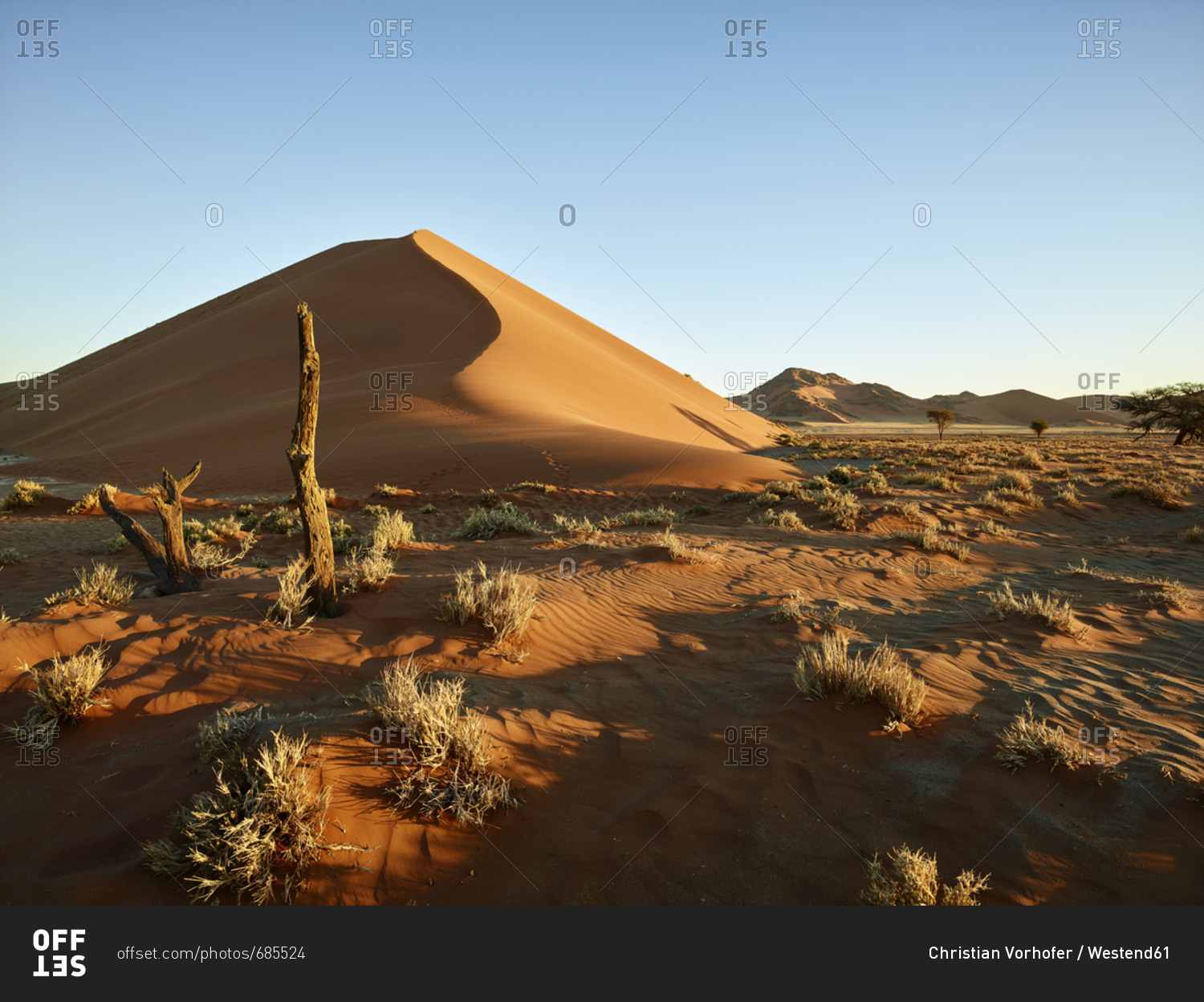 Africa- Namibia- Namib-Naukluft National Park- Namib desert- desert dunes