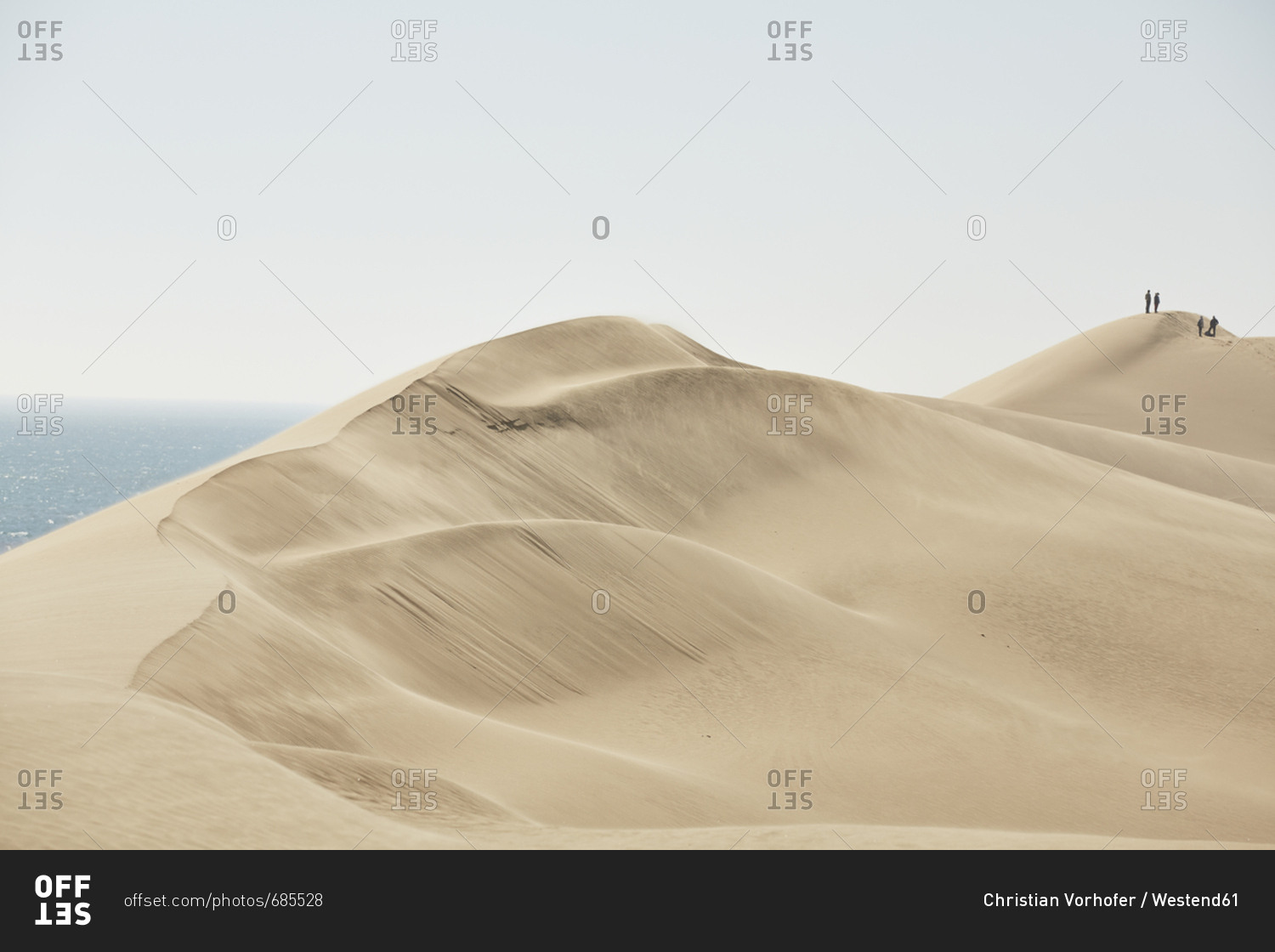 Africa- Namibia- Namib-Naukluft National Park- Namib desert- desert dunes and atlantic