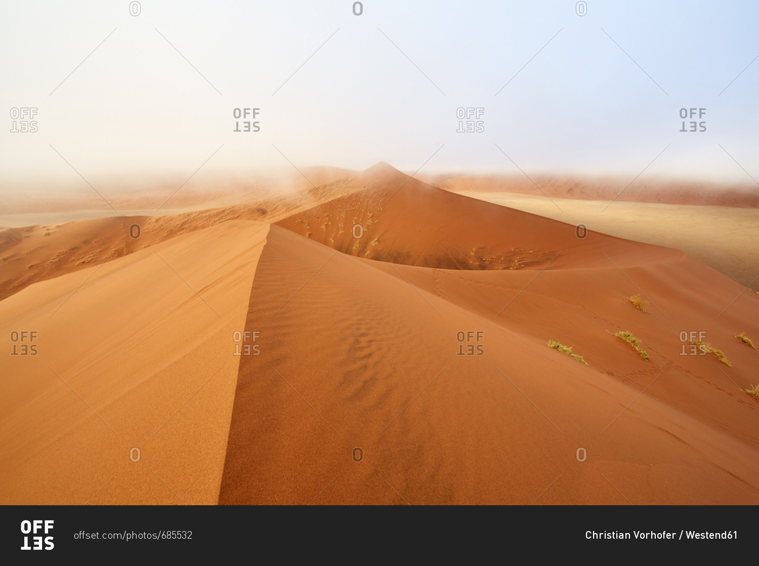 Namibia- Namib Desert- Sossusvlei- Namib-Naukluft National Park- Dune 45 and morning fog