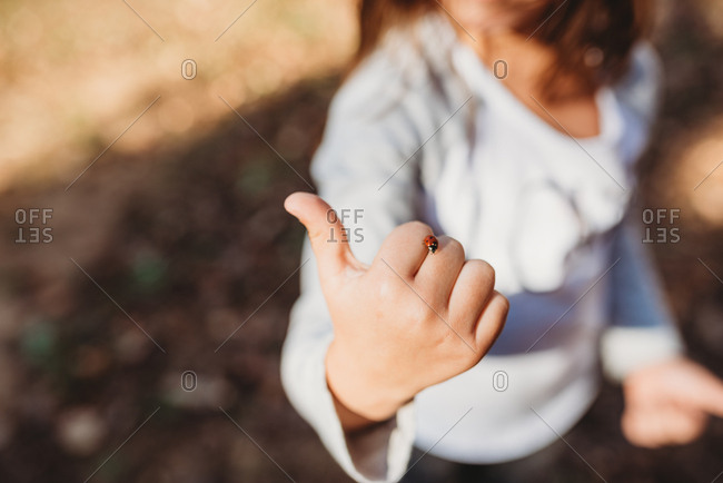 Little girl showing lady bug crawling over hand