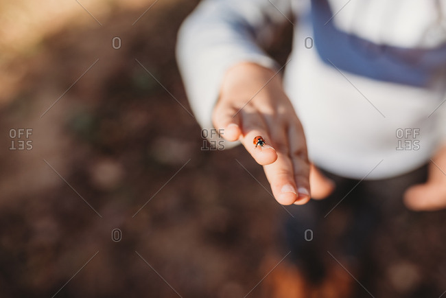 Lady bug crawling along finger of little girl