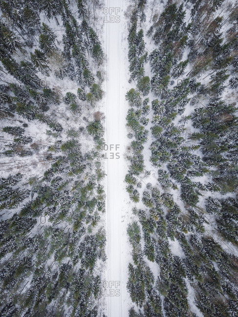 Aerial view of an empty road covered with snow in the nordic forest, Estonia