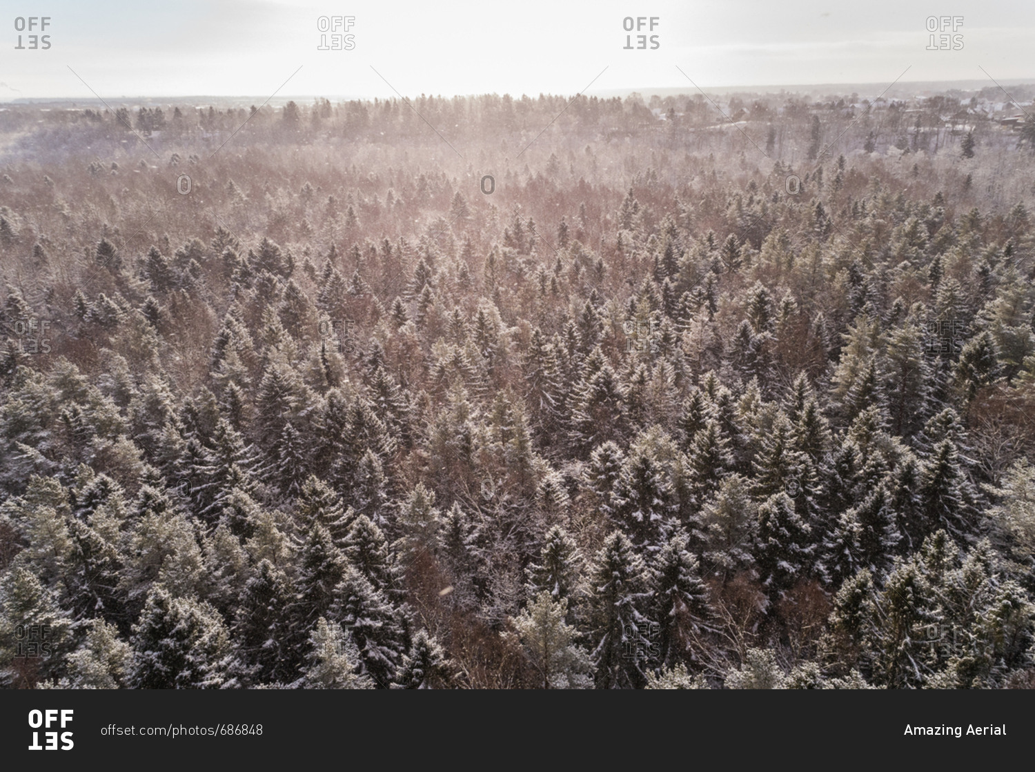 Aerial view of the snowy colorful forest of Muraste, Estonia