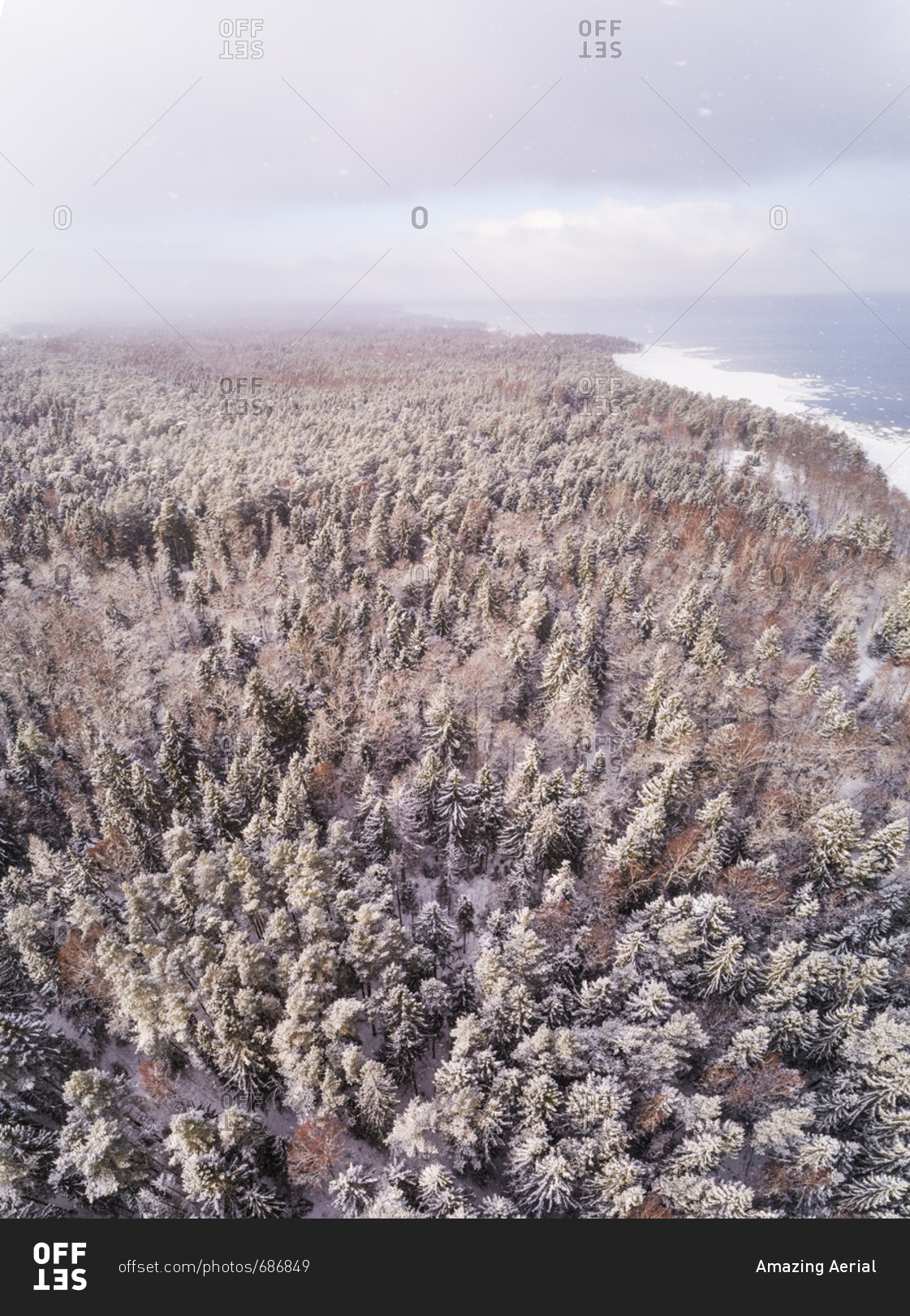 Aerial view of the snowy colorful forest on the coast of Muraste, Estonia