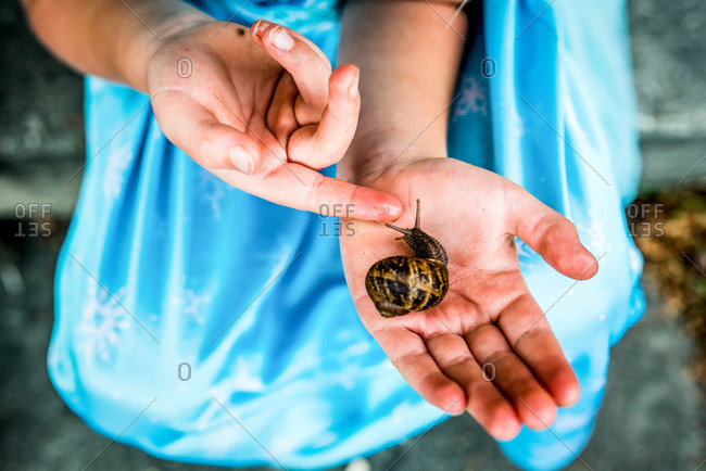Child's hands holding slimy snail