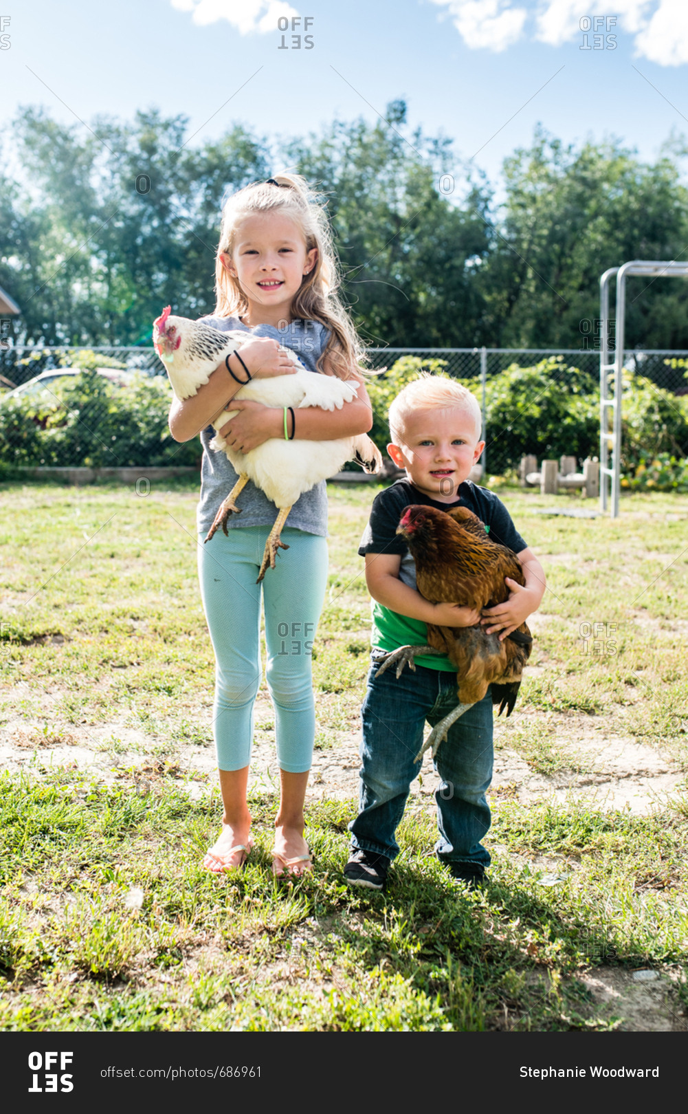 Siblings hugging chickens in the backyard stock photo - OFFSET