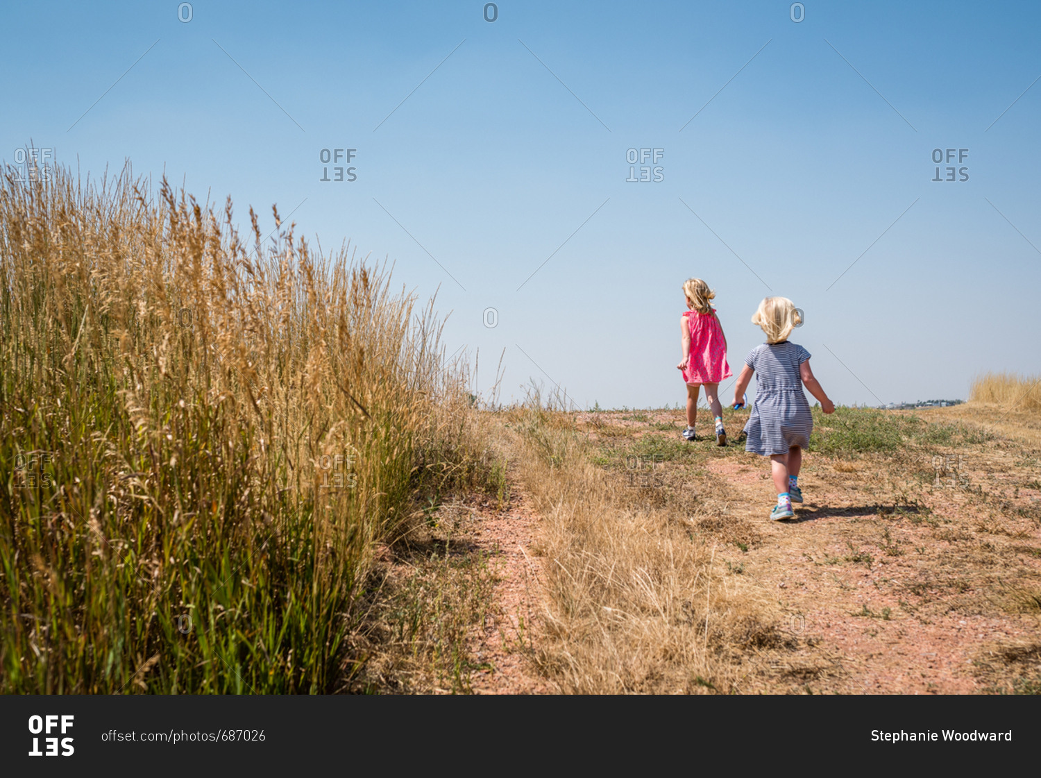 Two girls looking for bugs for their bug collections