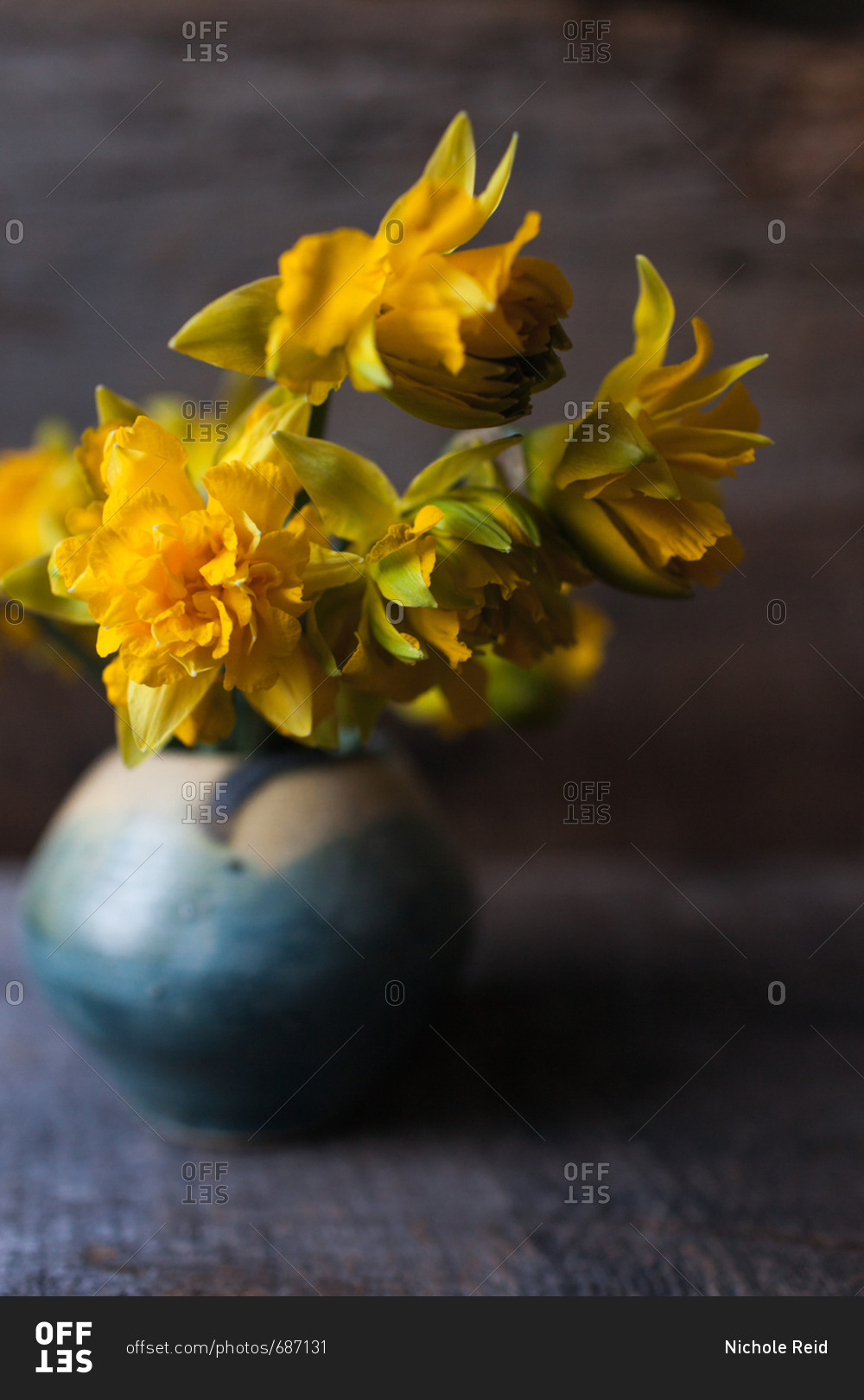 Close up of yellow flowers in a blue vase