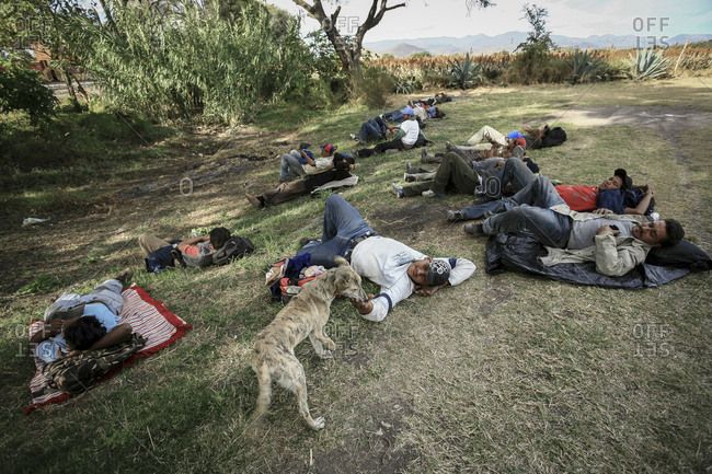 Northern Mexico - November 08, 2007: Group of migrants resting in a field on journey to get to border with United States of America