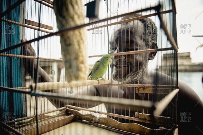 April 6, 2018: Man Looking At Parrot In Cage, Brazil