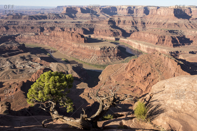 Dead Horse Point State Park, view from point down into Colorado River canyon, Moab, Utah, United States of America, North America