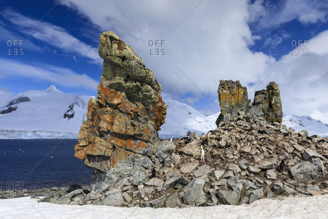 Chinstrap penguins calling (Pygoscelis antarcticus) at a craggy colony, Half Moon Island, South Shetland Islands, Antarctica, Polar Regions
