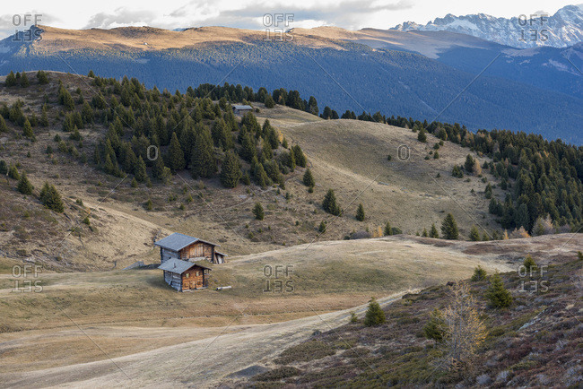 Alms (mountain huts) in the fields, Alpe di Siusi, Trentino, Italy, Europe