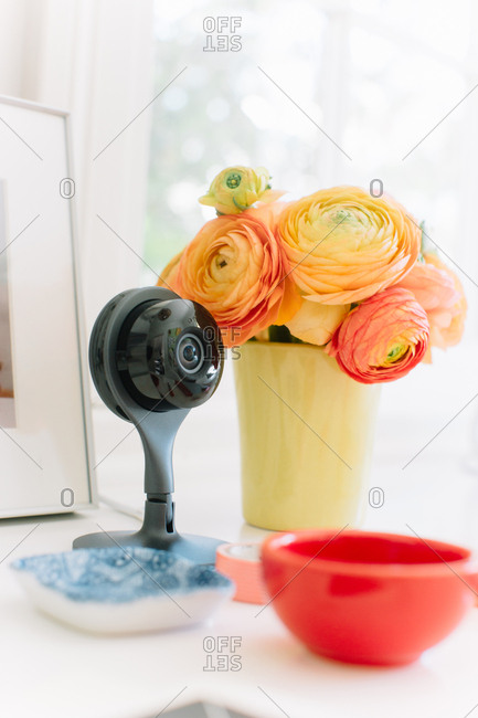 Web cam hidden among other ornaments on window sill in home