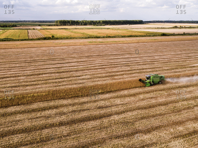 Serbia- Vojvodina- Combine harvester on a wheat- aerial view