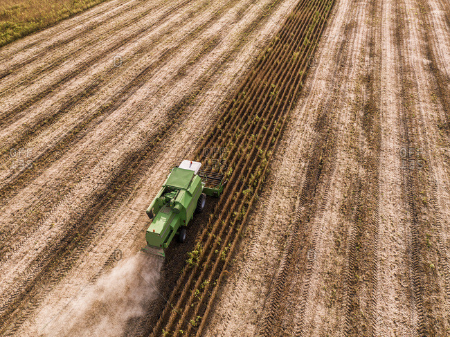 Serbia- Vojvodina- Combine harvester on a wheat- aerial view
