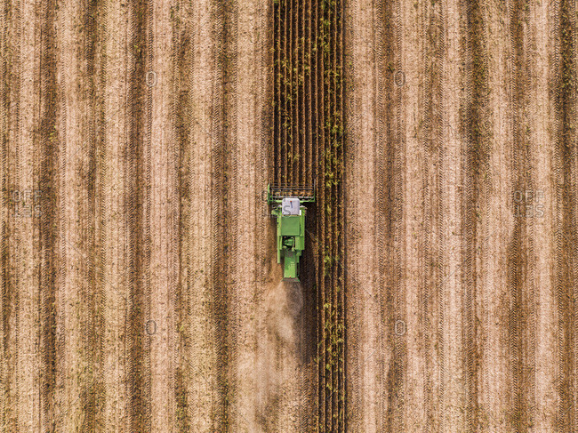 Serbia- Vojvodina- Combine harvester on a wheat- aerial view