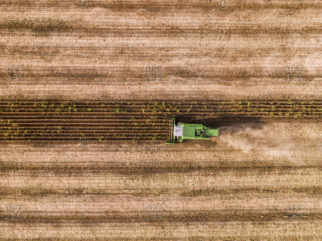 Serbia- Vojvodina- Combine harvester on a wheat- aerial view