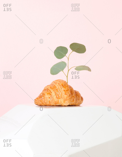 Quirky still life of plant growing out of a croissant