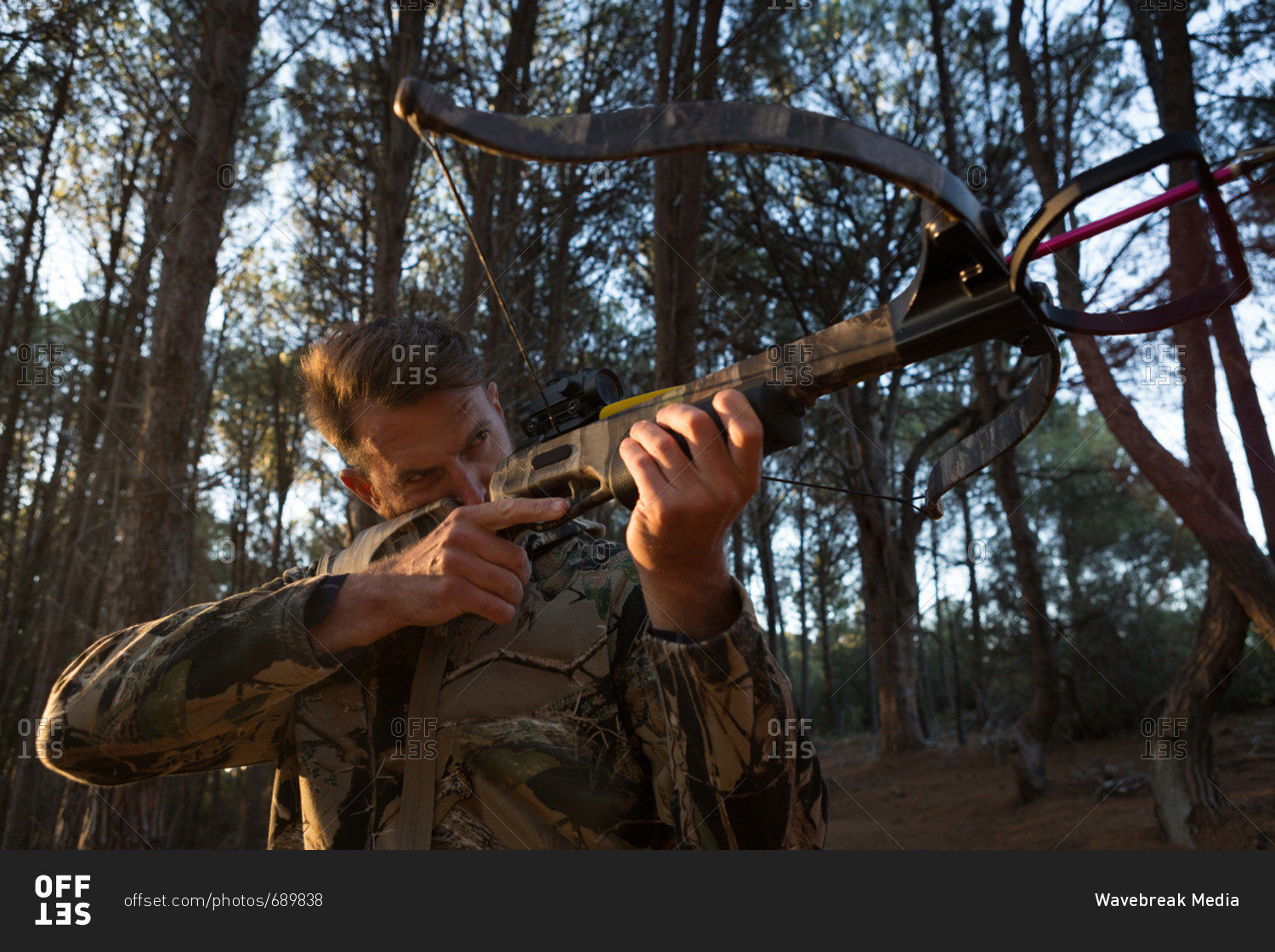 Man aiming archery in the forest with bow and arrow on a sunny day