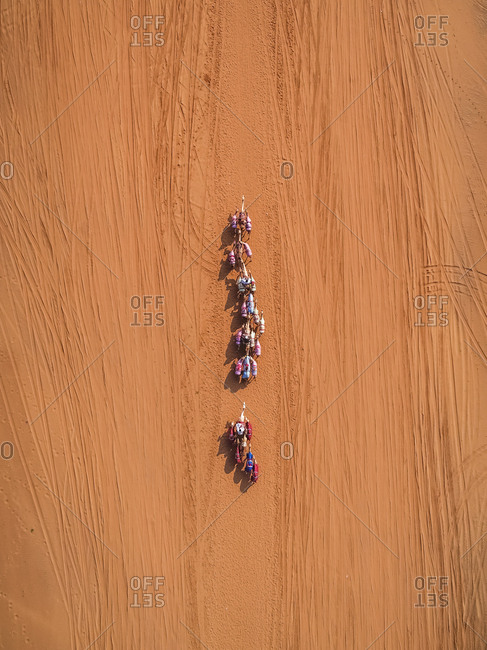 Aerial view of a camel race competition in the desert of Ras Al Khaimah, U.A.E.