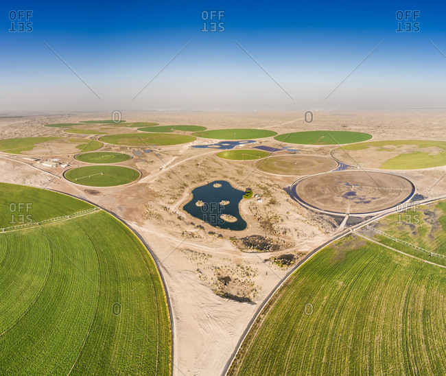 Aerial view of agricultural green circles in the middle of Saih Al Salam Desert in Dubai, U.A.E.