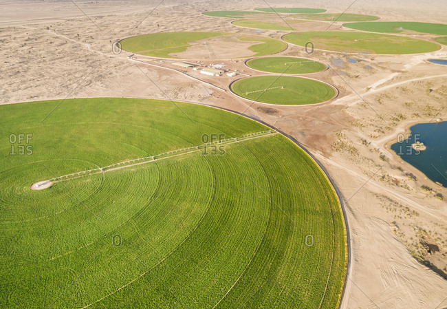 Aerial view of agricultural green circles in the middle of Saih Al Salam Desert in Dubai, U.A.E.