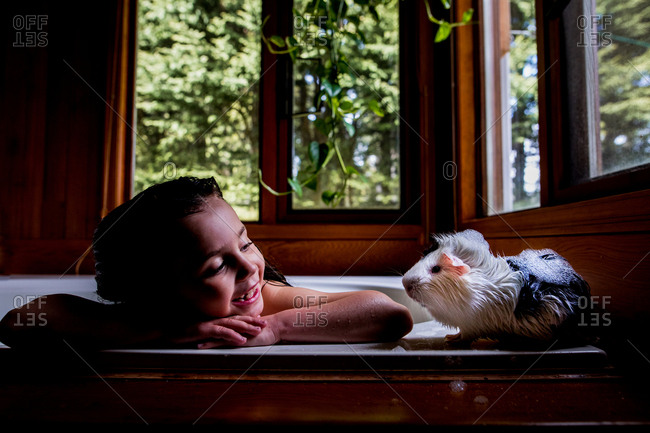 Little girl leaning on edge of bath tub talking to pet guinea pig