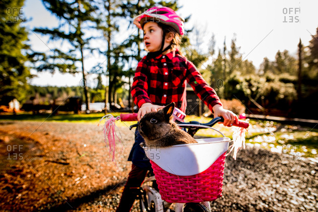 Little girl on bicycle with pet rabbit in the basket